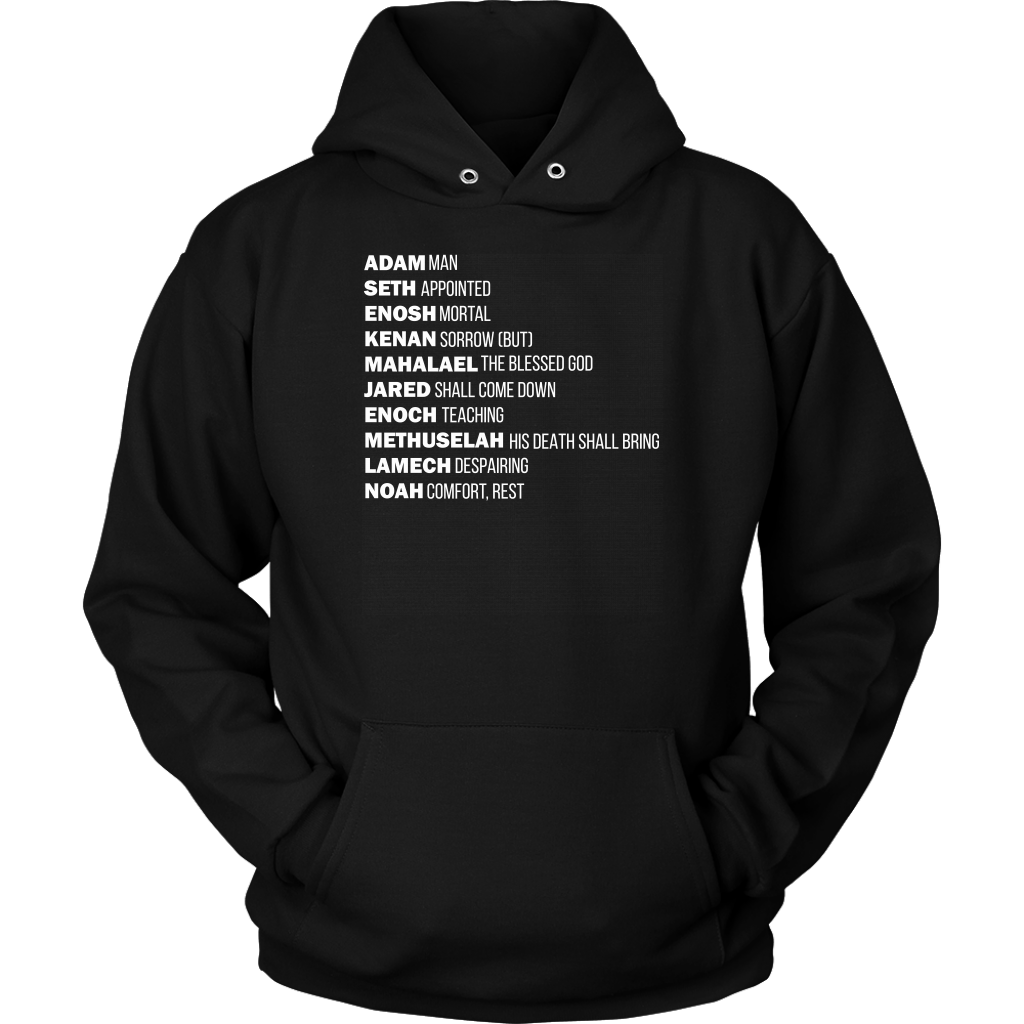 God's Plan From The Beginning Unisex Hoodie Part 2