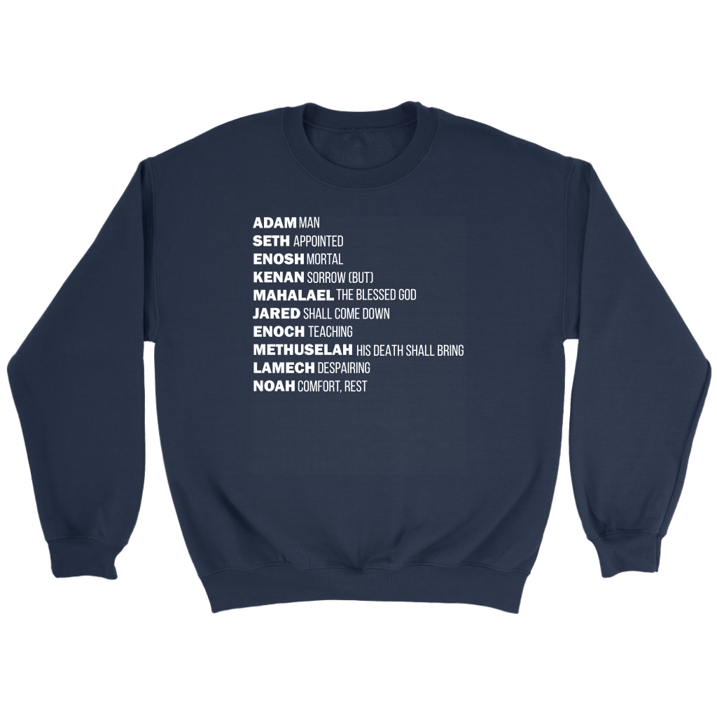 God's Plan From The Beginning Crewneck Part 2