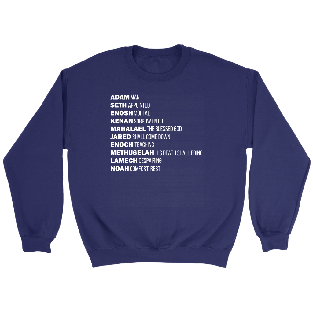 God's Plan From The Beginning Crewneck Part 2