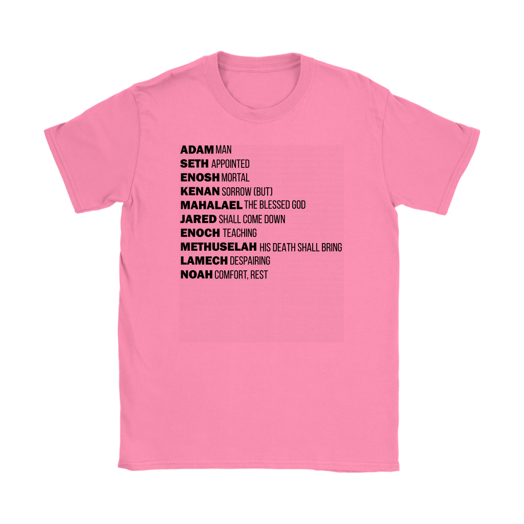 God's Plan From The Beginning Women's T-Shirt Part 1