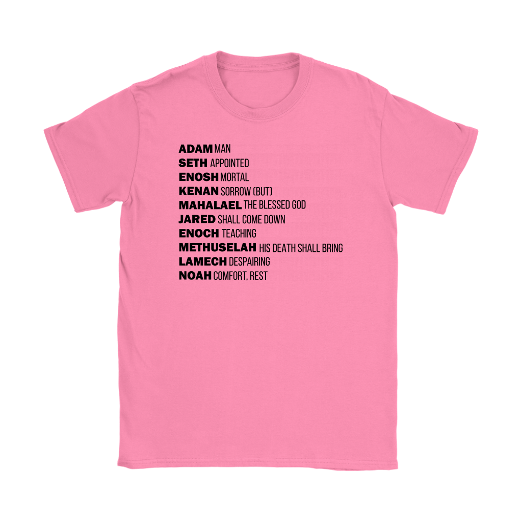 God's Plan From The Beginning Women's T-Shirt Part 1