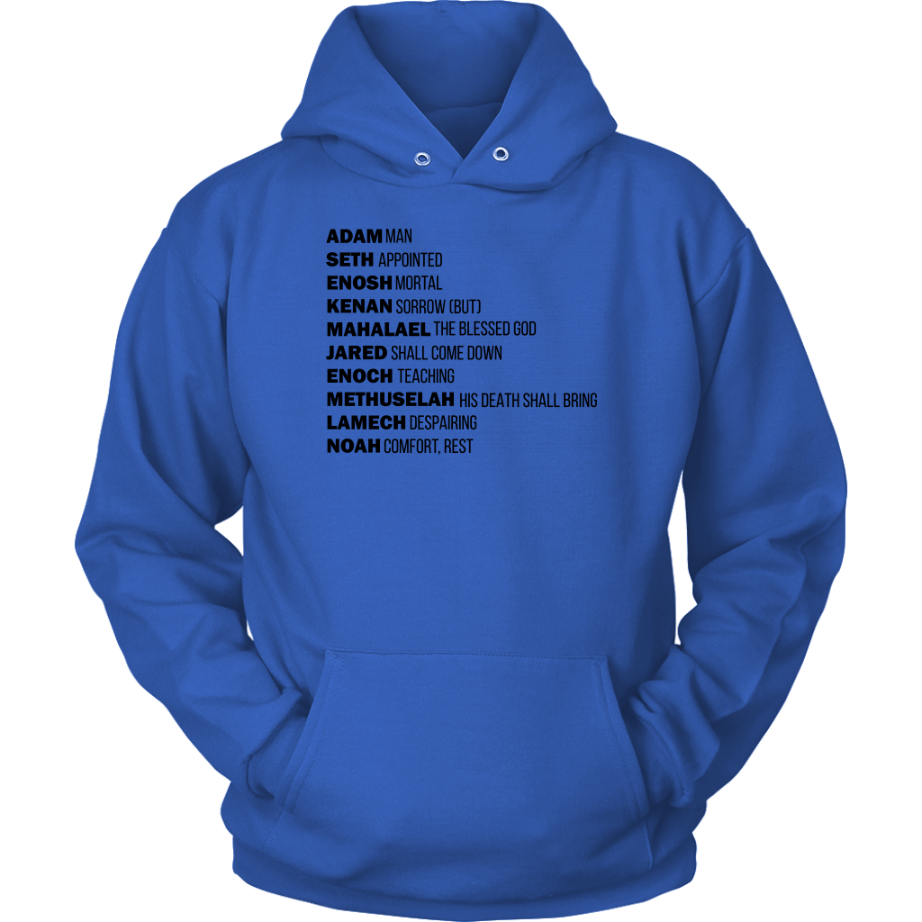 God's Plan From The Beginning Unisex Hoodie Part 1