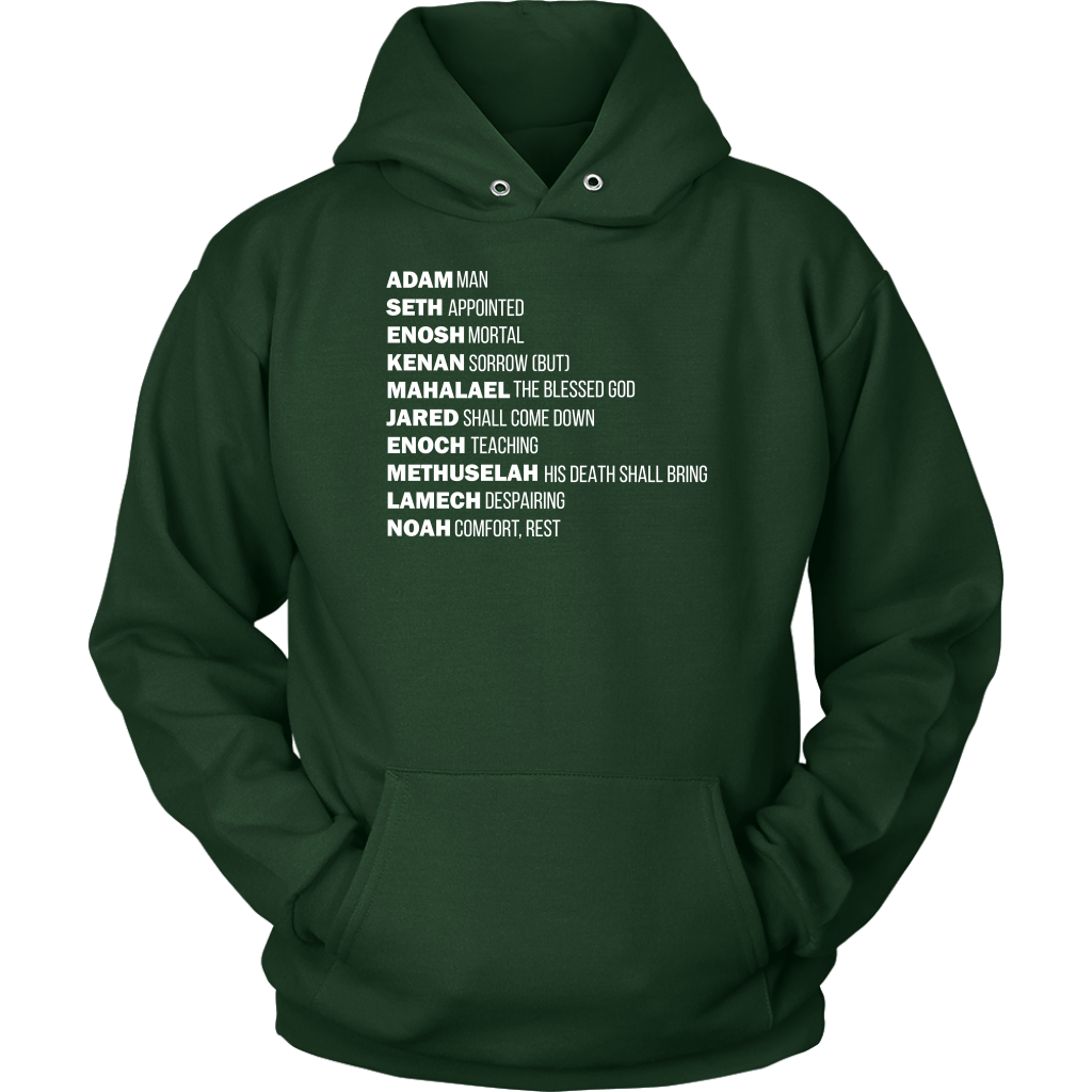 God's Plan From The Beginning Unisex Hoodie Part 2