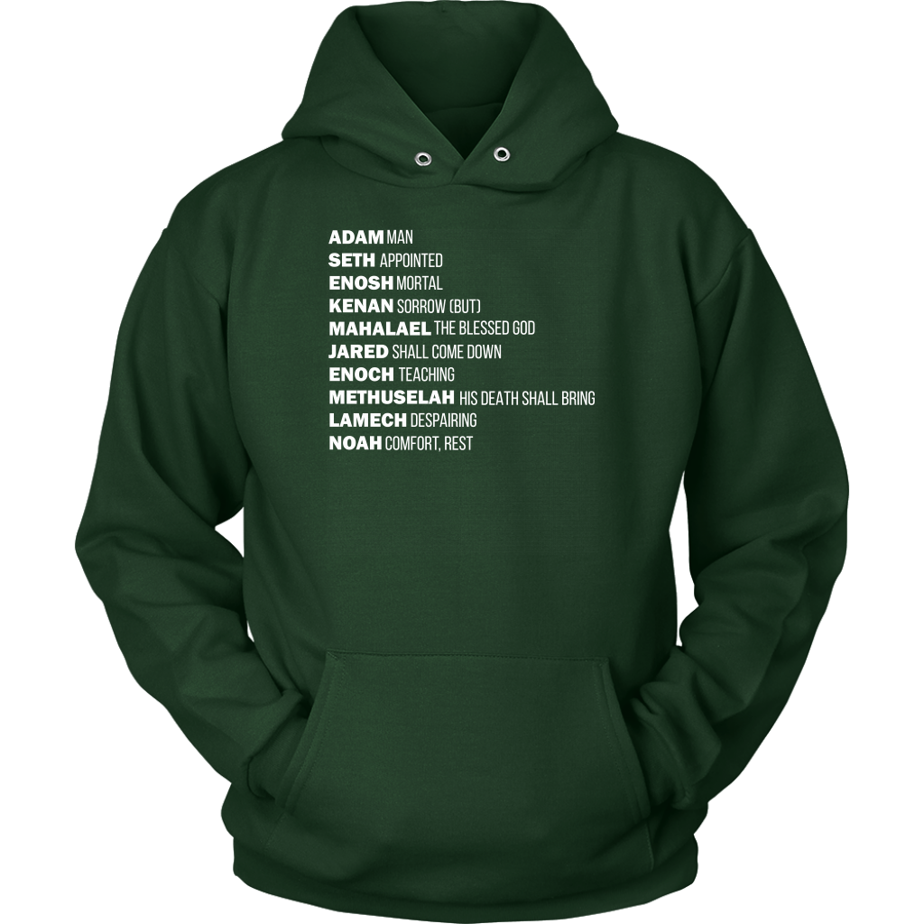 God's Plan From The Beginning Unisex Hoodie Part 2