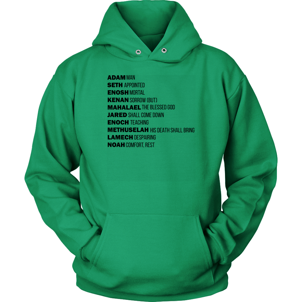 God's Plan From The Beginning Unisex Hoodie Part 1