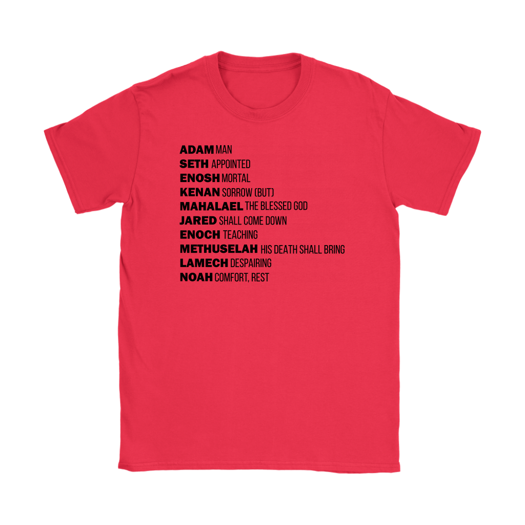 God's Plan From The Beginning Women's T-Shirt Part 1