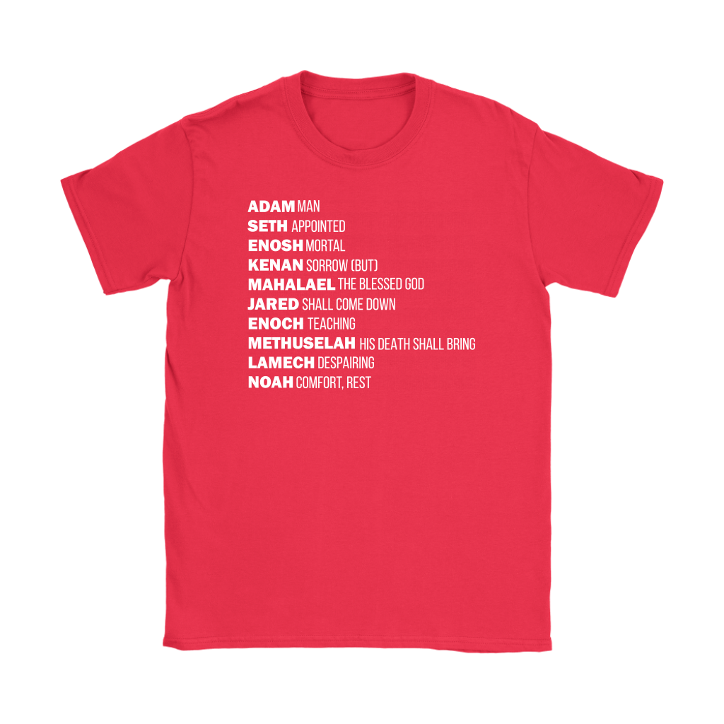 God's Plan From The Beginning Women's T-Shirt Part 2