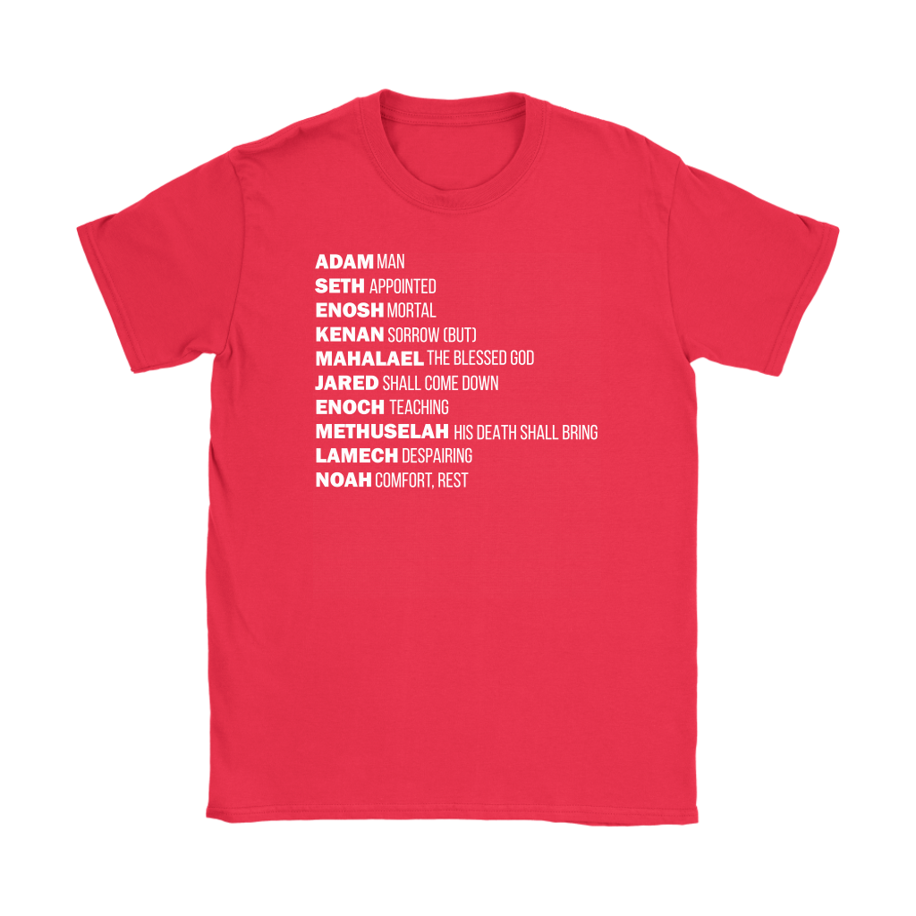 God's Plan From The Beginning Women's T-Shirt Part 2