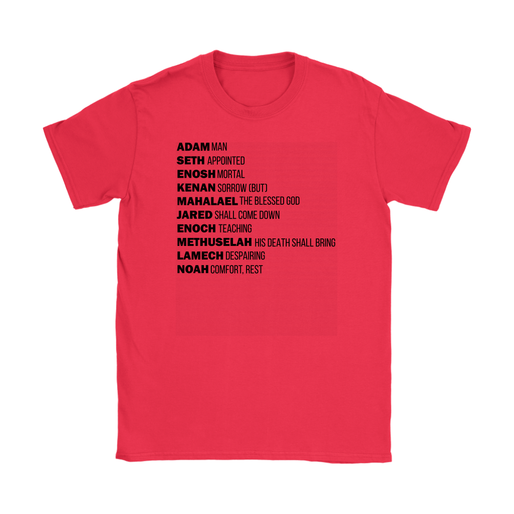 God's Plan From The Beginning Women's T-Shirt Part 1