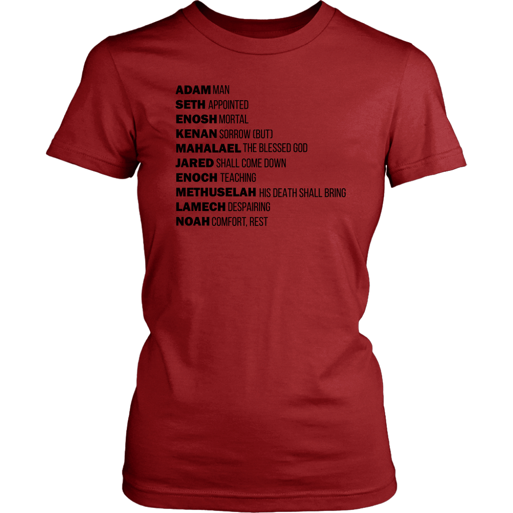 God's Plan From The Beginning Women's T-Shirt Part 1