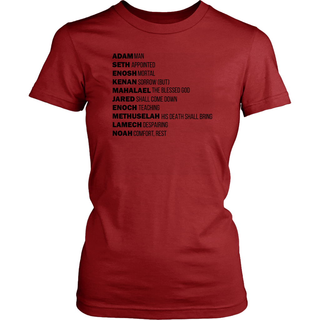 God's Plan From The Beginning Women's T-Shirt Part 1
