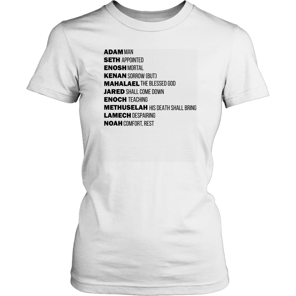 God's Plan From The Beginning Women's T-Shirt Part 1