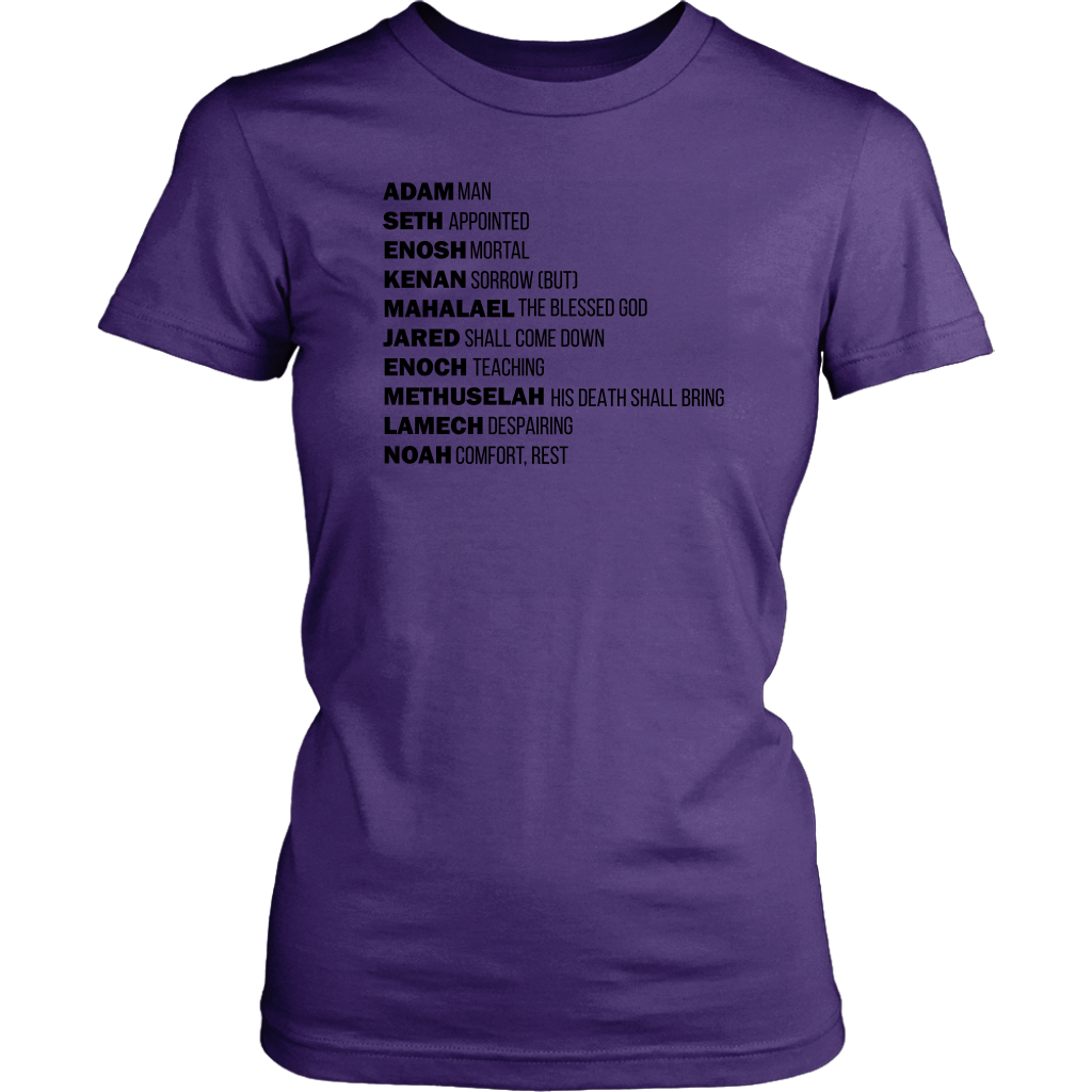 God's Plan From The Beginning Women's T-Shirt Part 1