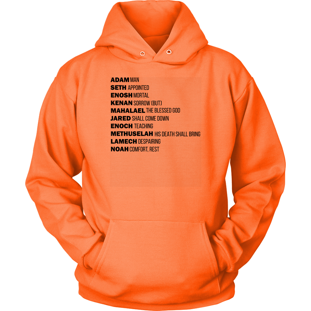 God's Plan From The Beginning Unisex Hoodie Part 1