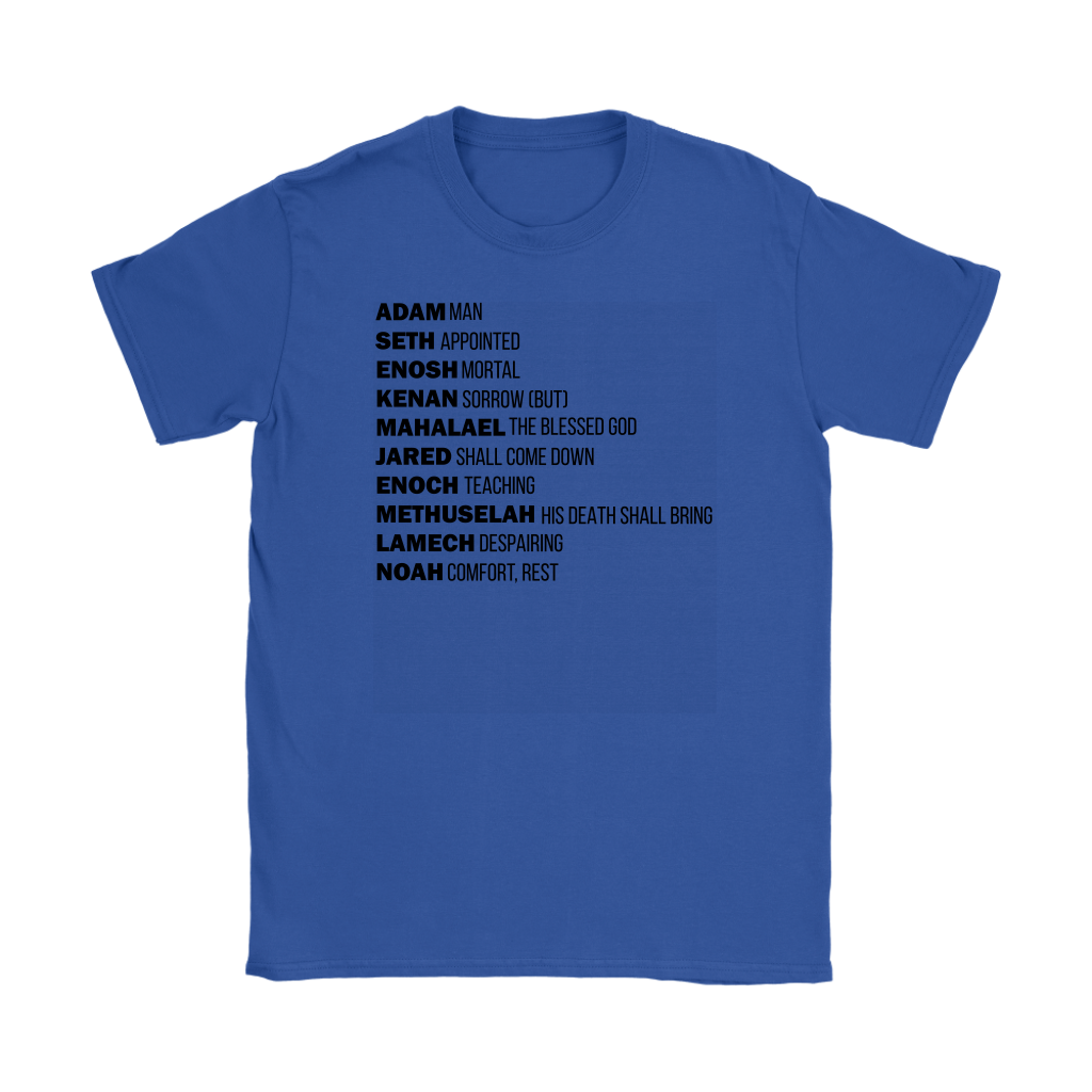 God's Plan From The Beginning Women's T-Shirt Part 1
