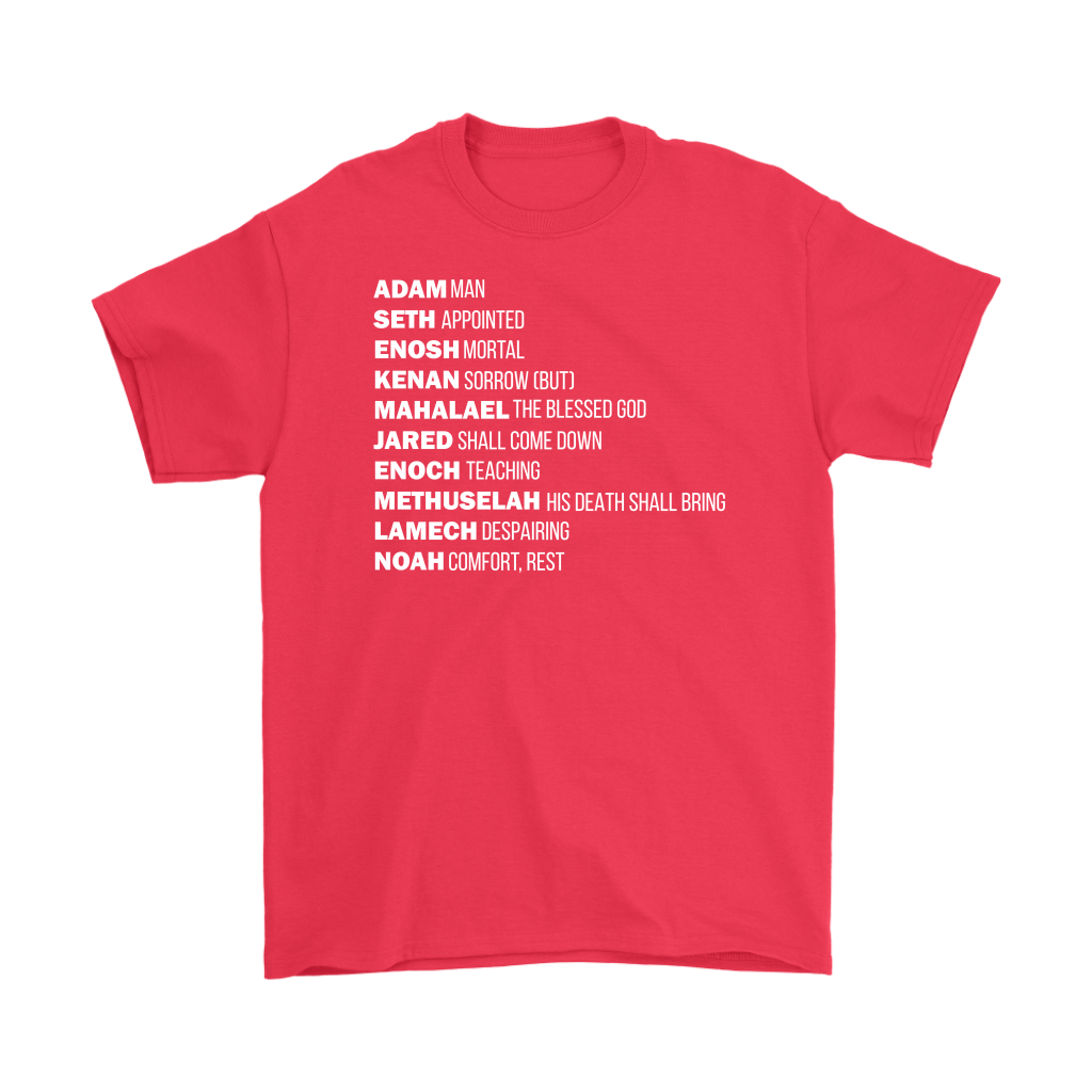 God's Plan From The Beginning Men's T-Shirt Part 1