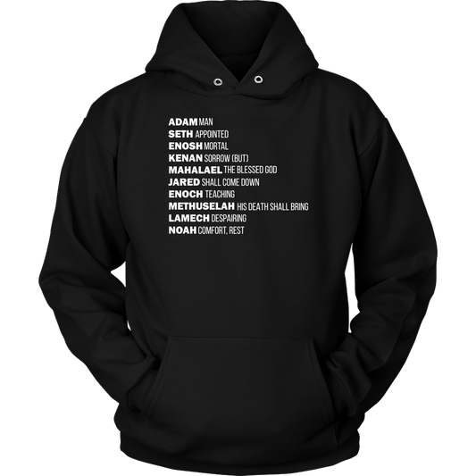 God's Plan From The Beginning Unisex Hoodie Part 2