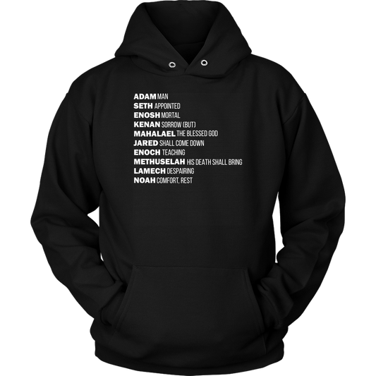 God's Plan From The Beginning Unisex Hoodie Part 2