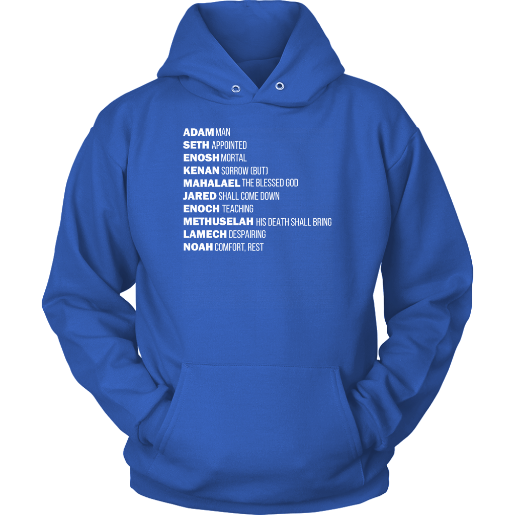 God's Plan From The Beginning Unisex Hoodie Part 2