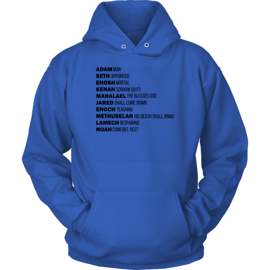 God's Plan From The Beginning Unisex Hoodie Part 1