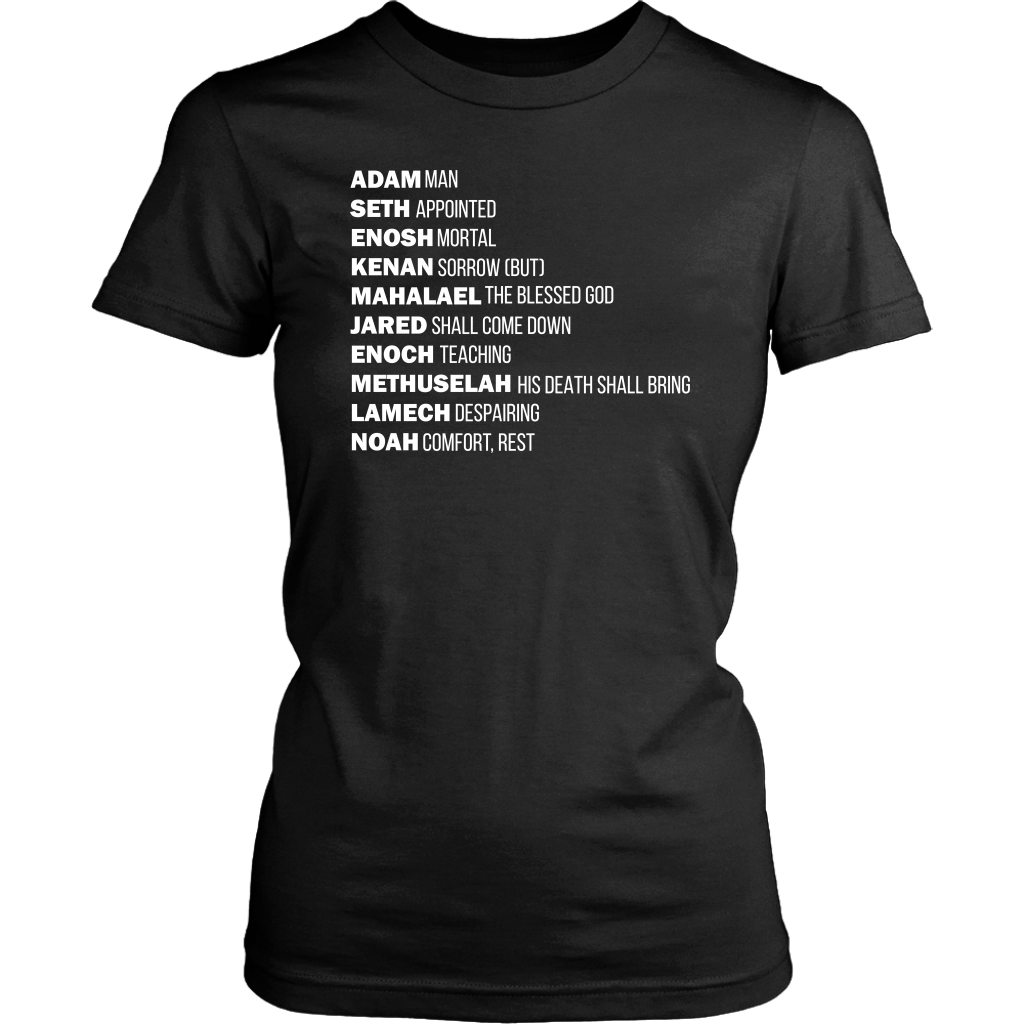 God's Plan From The Beginning Women's T-Shirt Part 2