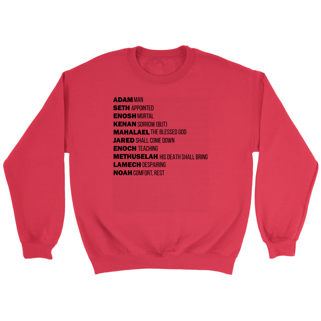 God's Plan From The Beginning Crewneck Part 1