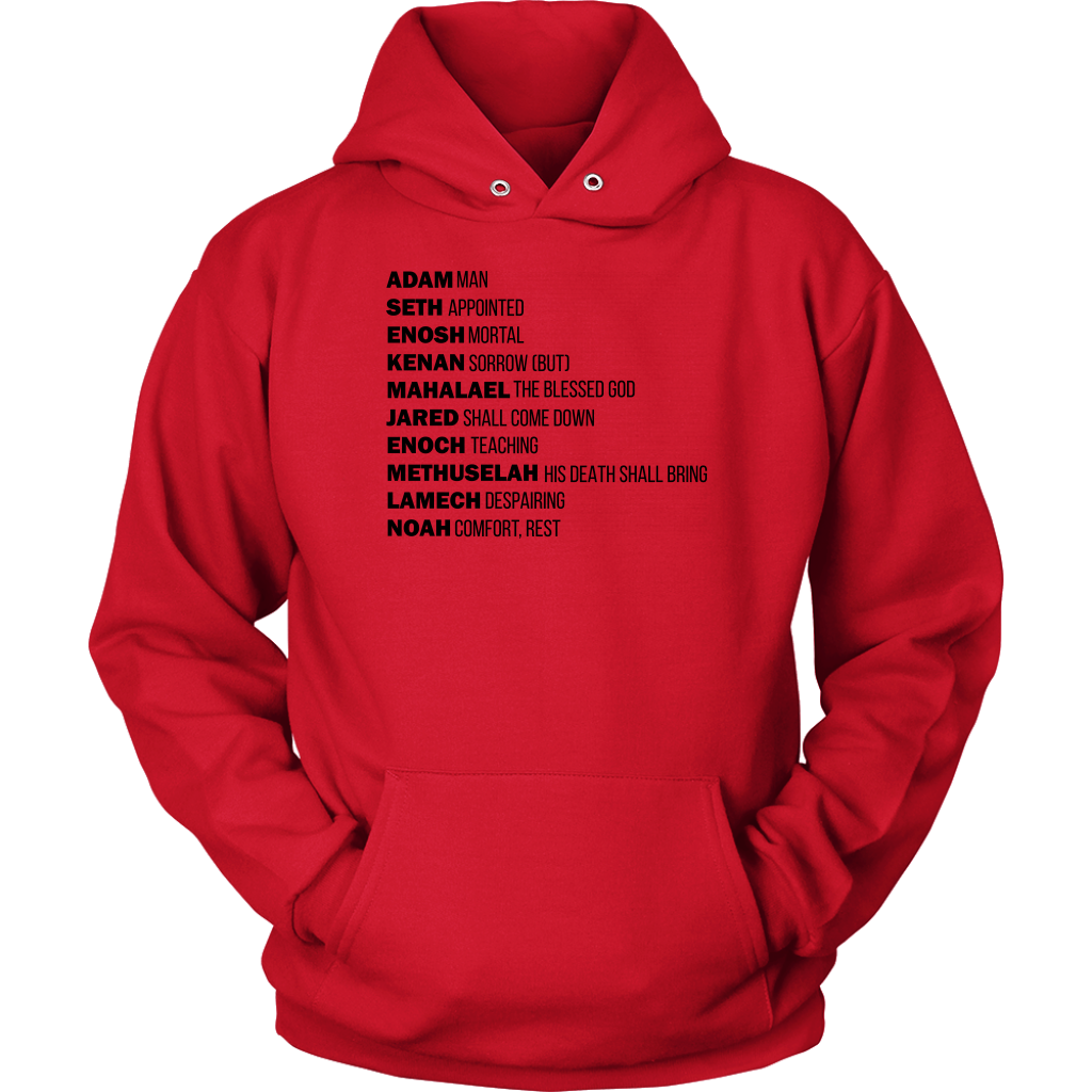 God's Plan From The Beginning Unisex Hoodie Part 1