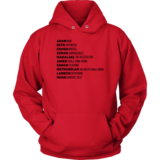 God's Plan From The Beginning Unisex Hoodie Part 1