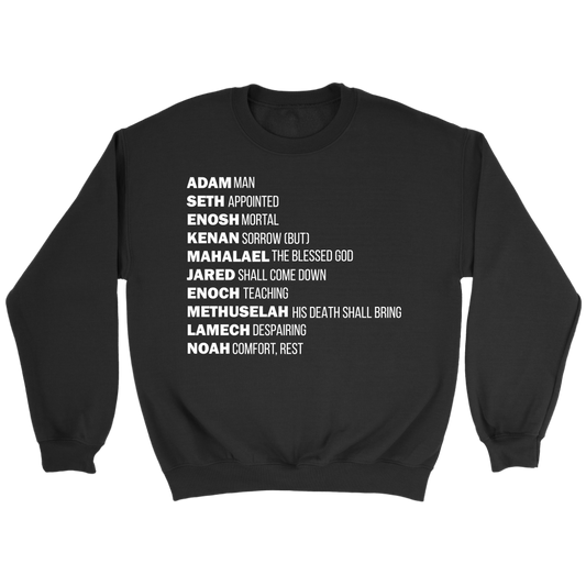 God's Plan From The Beginning Crewneck Part 2