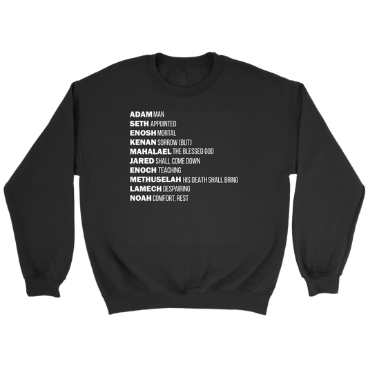 God's Plan From The Beginning Crewneck Part 2