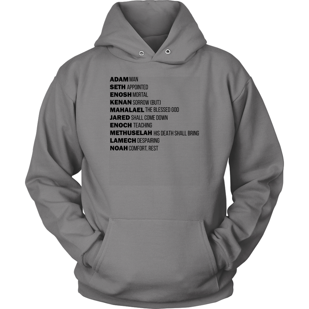 God's Plan From The Beginning Unisex Hoodie Part 1